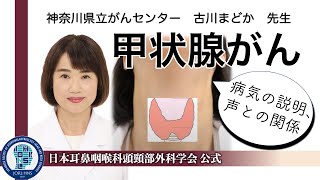 甲状腺がん　頭頸部外科が取り扱う疾患