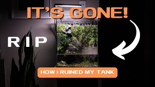 DESTROYING My AQUASCAPE!