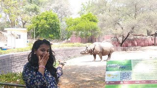 Hyderabad series-2Nehru zoological park 🐘🐼🐯 🦚🦁🦊🐒🦍🦥Must watch!!!!!! ஹய்தராபாத் பூங்கா..