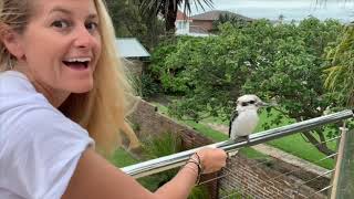 Ms. Baker teaches about a kookaburra in Australia!