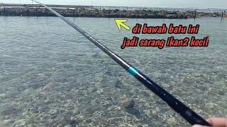 mancing pake umpan cacing laut,hasilnya memuaskan