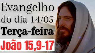 Evangelho do dia com reflexão, Terça-feira 14/05, Jo 15,9-17