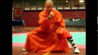 SHAOLIN QI-GONG WU-XING-QUAN:i 5 Animali:"Attingere dalle risorse interiori per guarire"- SEMINARIO