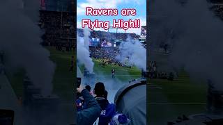 Baltimore Ravens are Flying High vs Miami Dolphins #shorts