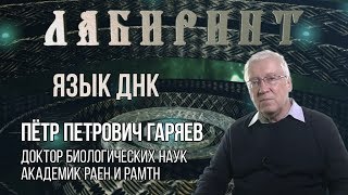 Гаряев Пётр Петрович - Язык ДНК