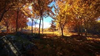 The Hunter: Call of the Wild | Serene Field Atmosphere | Relaxing Ambient Sound | White Noise 🌾🎶