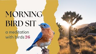 Bird Sit - A Morning Meditative Birding Practice - # TWENTY SIX