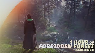 1 Hour Deep Forbidden Forest Ambience | Hogwarts Legacy