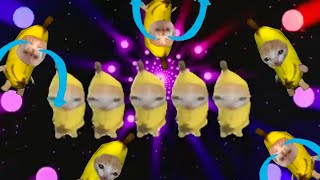 Banana cat Party mode 1 hour