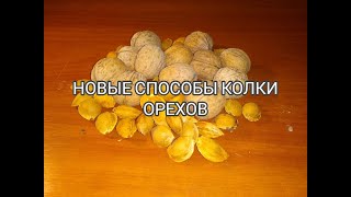 НОВЫЕ СПОСОБЫ КОЛКИ ОРЕХОВ