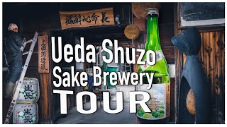 Ueda Shuzo Sake Brewery Tour | Cultural Experiences in Nara | 上田酒造 |