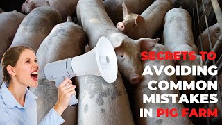 What Are The Most Common Mistakes In Pig Breeding and How To Avoid Them