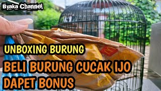 unboxing,beli burung bonus burung