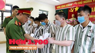 Hơn 3.700 phạm nhân được đặc xá | Báo Phụ Nữ