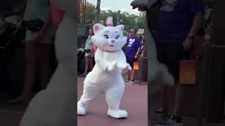 Disney Adventure Friends Cavalcade Marie #shorts