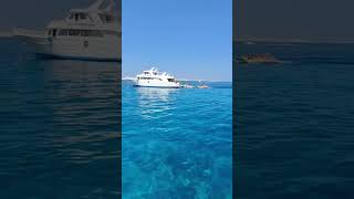 #hurghada #egypt #египет #хургада #travel #reels #море больше на канале https://dzen.ru/hurghada