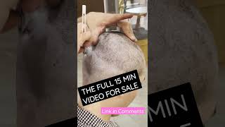 https://www.buymeacoffee.com/haircutvideos/part-2-available-purchase