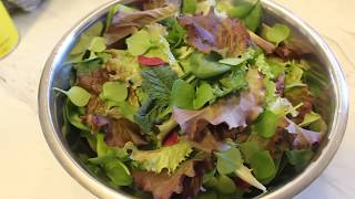 A salad Fit for a King | Greenhouse Tour