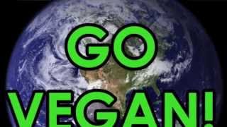 Vegan Salvation? and the end