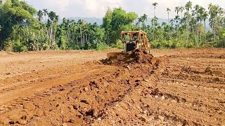 Pushing the Land and Leveling the Land, D6R XL Bulldozer Makes People's Rice Fields