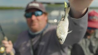 Crystal River Fishing Tips - Tackle, Bait, Lures