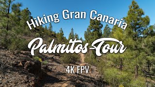 Wandern auf Gran Canaria in 4K FPV - Palmitos-Tour