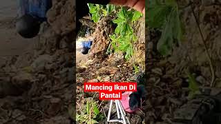 Mancing Ikan di Pinggir Pantai #mancinglaut #mancingpinggiran #mancingmania #mancingdasaran