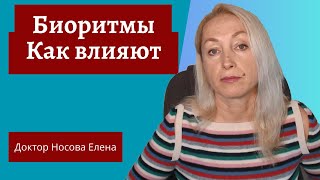 Как управлять гормонами | Биоритмы Как влияют | Эндокринная Система