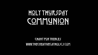 Holy Thursday Communion | The Creative Catholics