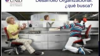 1 02 El desarrollo organizacional