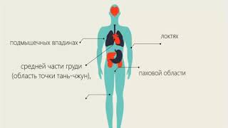 2020 08 15 доклад профессора Ху Сяо Фэя Простой способ оздоровления сосудов после 40+