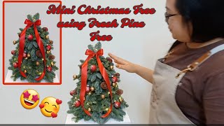 Mini Christmas Tree using Fresh Pine Tree | Little Christmas Tree | The Aivee Kingdom