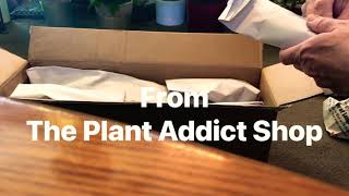 Orchid Unboxing