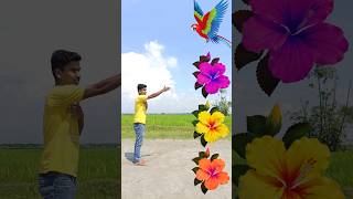 तोता कोवा कबूतर उल्लू speaking parrot crow pigeon owl funny VFX magic video #shortsfeed #trending