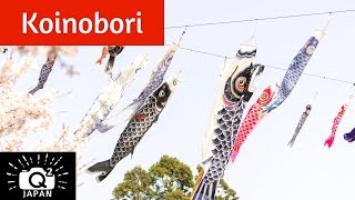 Tokunaga Koinobori in Okayama, Japan 徳永鯉のぼり