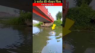 इस नदी के अन्दर Golden Fish हैं 😱 Wait For End 🤯 #ytshort #shorts #fishing #trending