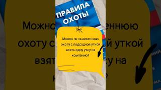 Можно ли взять на охоту одну подсадную утку на компанию? #мужскаякаморка #shorts