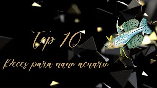 Top 10 Peces para nano acuario