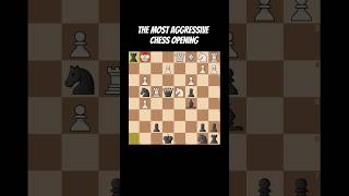 The most aggressive chess opening #chess