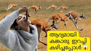 Cooking and Eating kangaroo Meat for the very first time | Kangaroo | Melbourne| Mallu couple|