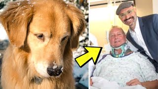 Dog Refuses To Leave Owner After He Slips And Lay Paralyzed For Over 20 Hours