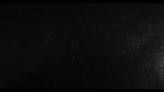 Organic Dust Particles Overlay On Black Background - 10 Minutes of Particle effects 4K