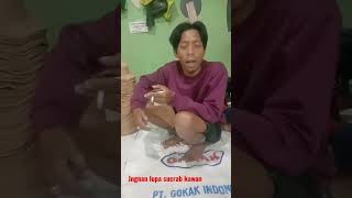 wajahud gudang molor