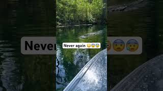 Alligator swims past kayak🐊🫣🥺 #shorts #alligator #kayak #dangerous