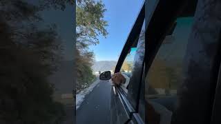 When My Dog Enjoy the Car Tour 🤩🤩 || Haldwani To Mukteshwar || @MrsPitbull