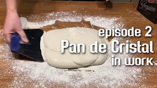 PAN DE CRISTAL. Failure (ep. 2) - kind of ... shaping. | by JoyRideCoffee