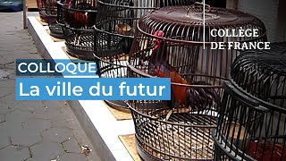 La ville du futur (14) - 2023-2024