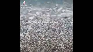 هل حقا صوت البحر للاسترخاء