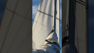 Sail away in Travemünde mit dem Segelboot über die Ostsee #shorts #ostsee #segeln #segelboot