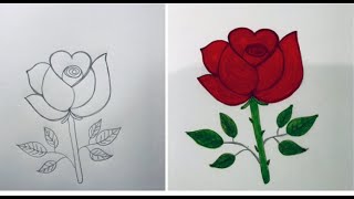 Rose Flower Drawing in Step by Step | Coloring Rose Flower